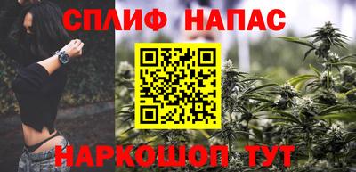бошки Славгород