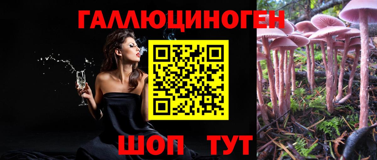 продажа наркотиков  Псилоцибиновые грибы прущие грибы  Вход с VPN  Сертолово 